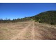 Ellenborough NSW 2446