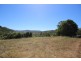 Ellenborough NSW 2446
