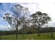 426 Bril Bril Road, Rollands Plains NSW 2441