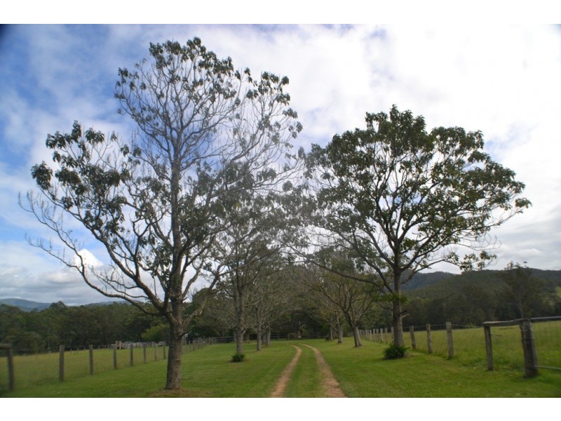 426 Bril Bril Road, Rollands Plains NSW 2441