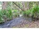 426 Bril Bril Road, Rollands Plains NSW 2441