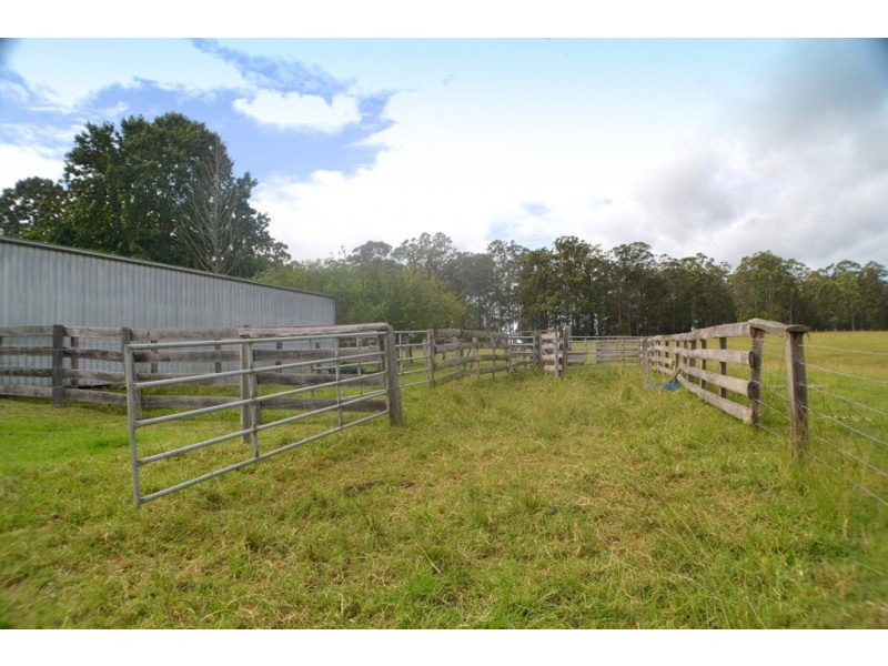 426 Bril Bril Road, Rollands Plains NSW 2441