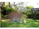 372 Hyndmans Creek Road, Byabarra NSW 2446