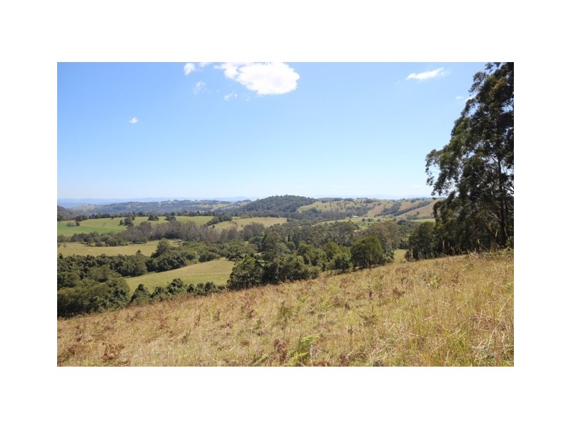 Lot 2 161 Colling Road, Comboyne NSW 2429