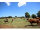 Lot 2 161 Colling Road, Comboyne NSW 2429