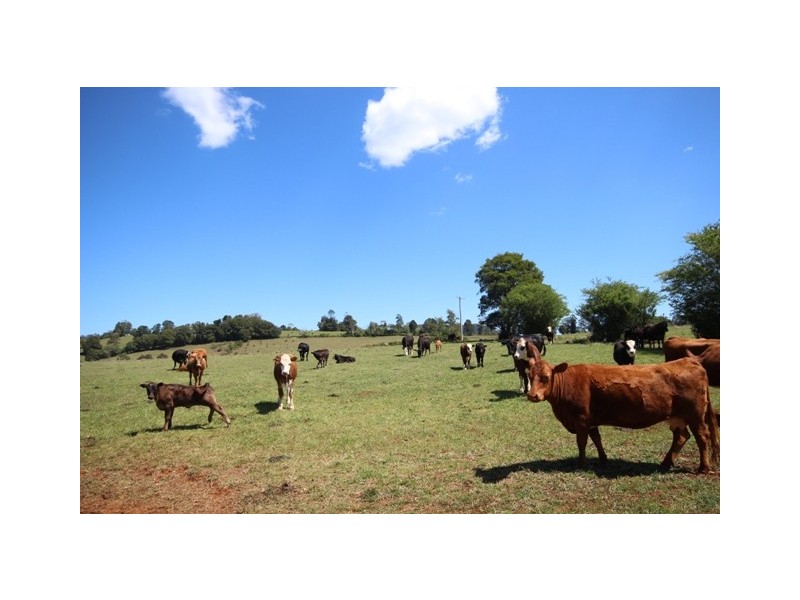Lot 2 161 Colling Road, Comboyne NSW 2429