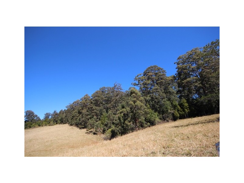 Lot 2 161 Colling Road, Comboyne NSW 2429