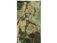 Lot 2 161 Colling Road, Comboyne NSW 2429