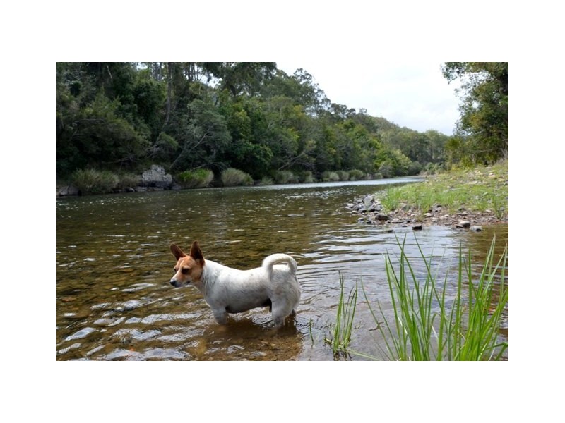 Lot 2 Pipeclay Road, Pipeclay NSW 2446