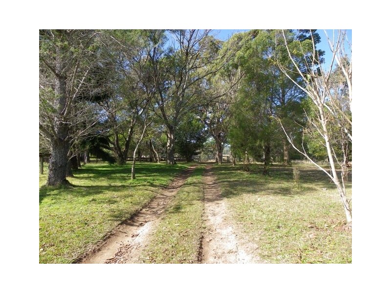 Gum Scrub NSW 2441