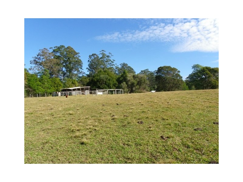 Gum Scrub NSW 2441