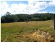 Gum Scrub NSW 2441