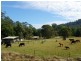 Gum Scrub NSW 2441