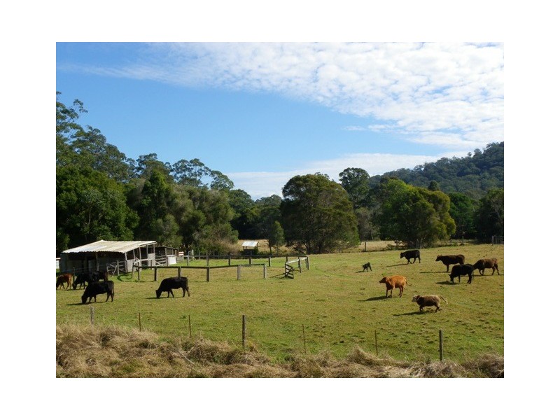 Gum Scrub NSW 2441