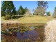 Gum Scrub NSW 2441