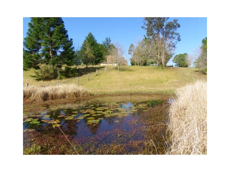 Gum Scrub NSW 2441