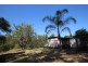 639 Bellangry Road, Mortons Creek NSW 2446