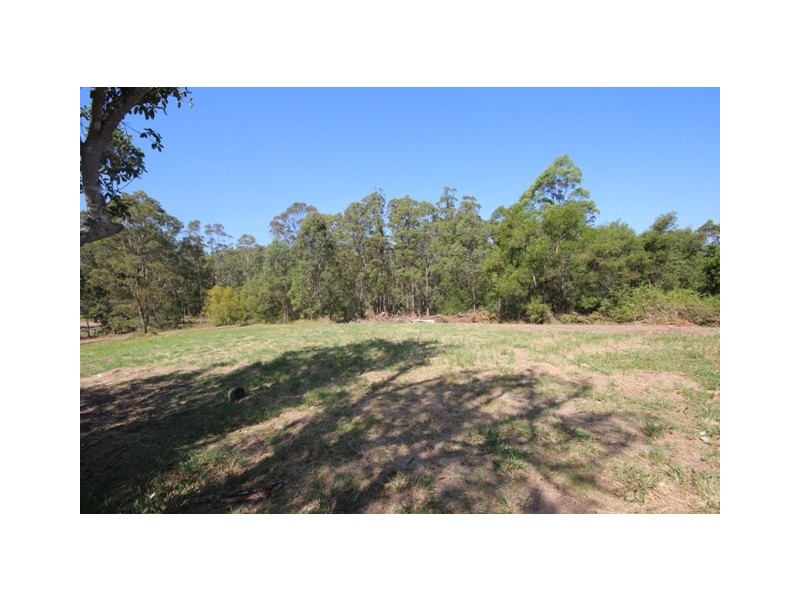 639 Bellangry Road, Mortons Creek NSW 2446