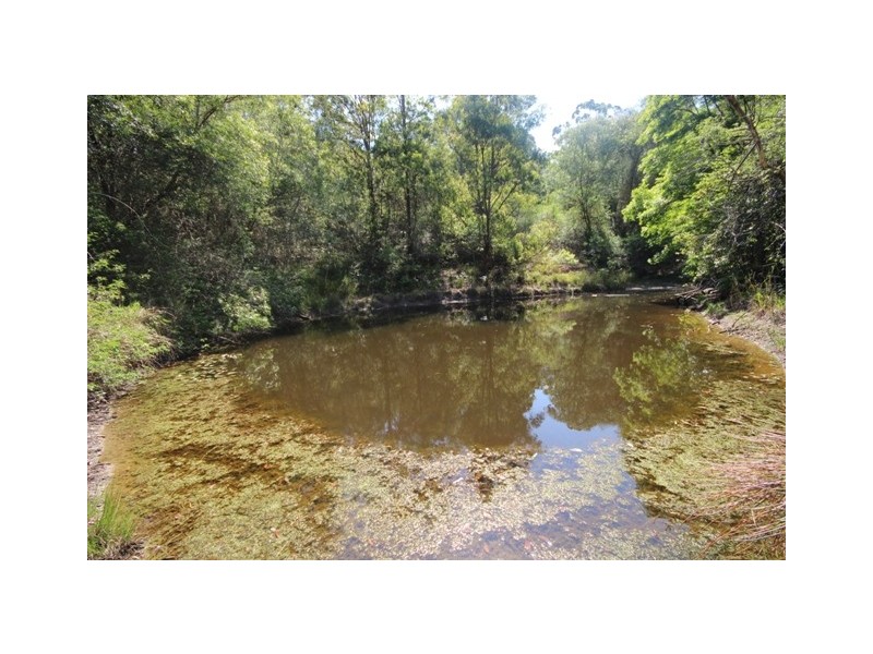 639 Bellangry Road, Mortons Creek NSW 2446