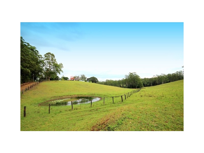 205 Eastern Boundary Road, Bellangry NSW 2446