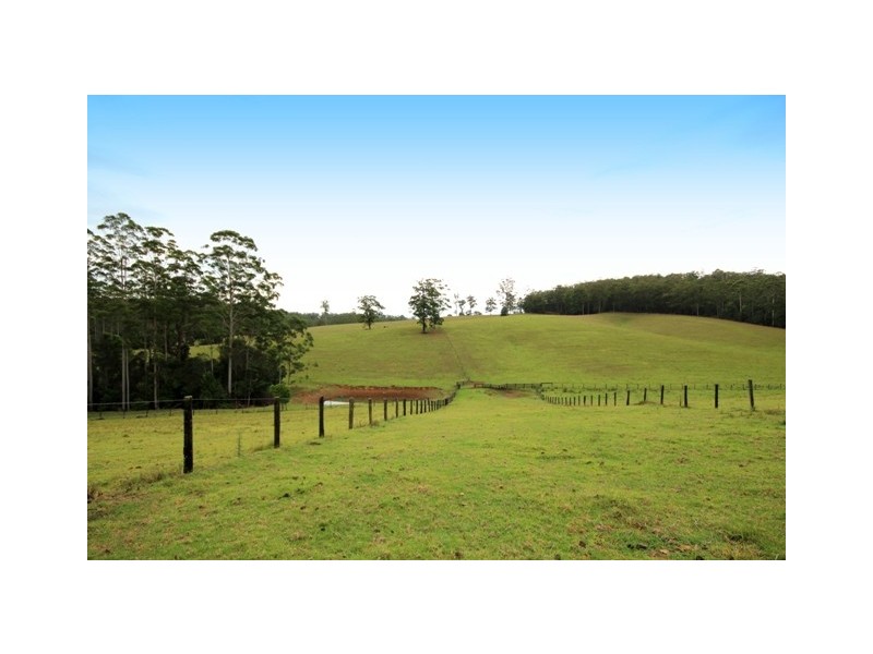 205 Eastern Boundary Road, Bellangry NSW 2446