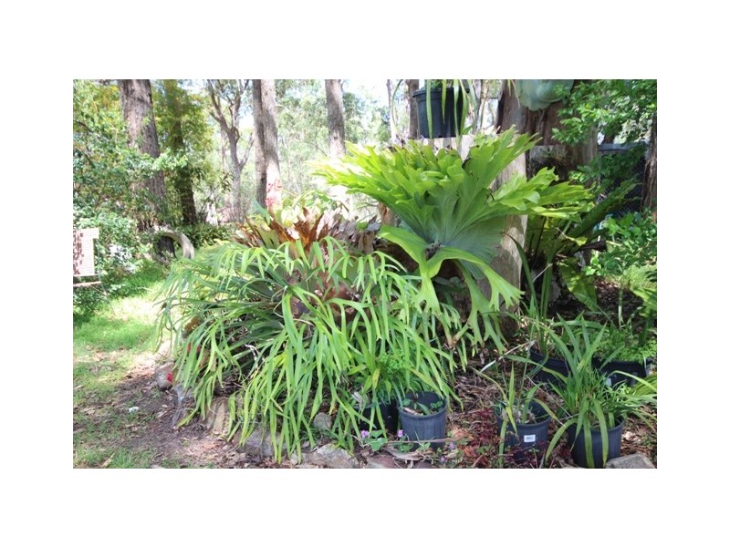 341 Red Hill Road, Telegraph Point NSW 2441