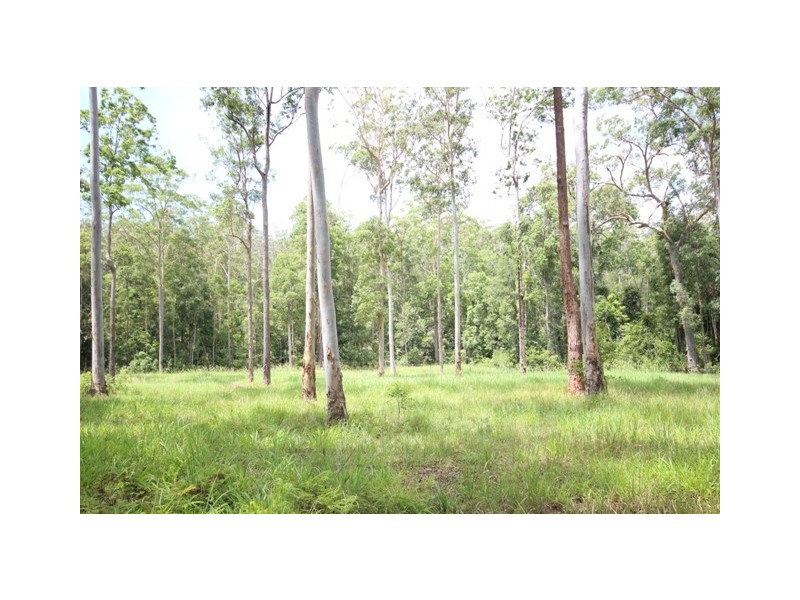 392 Brookehouse Road, Pembrooke NSW 2446