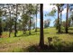L342 Bago Road, Wauchope NSW 2446