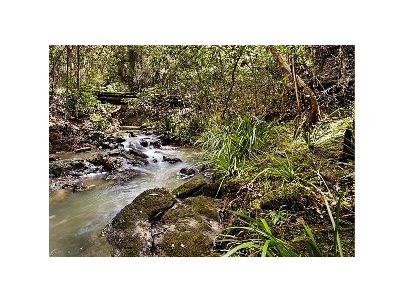 676 Comboyne Road, Byabarra NSW 2446