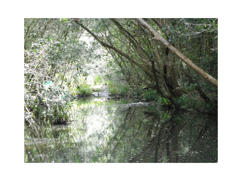 115 West Frazers Creek Road, Frazers Creek NSW 2446