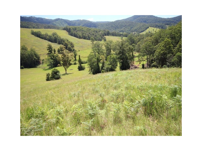 Lot 1 Hartys Creek Lane, Byabarra NSW 2446