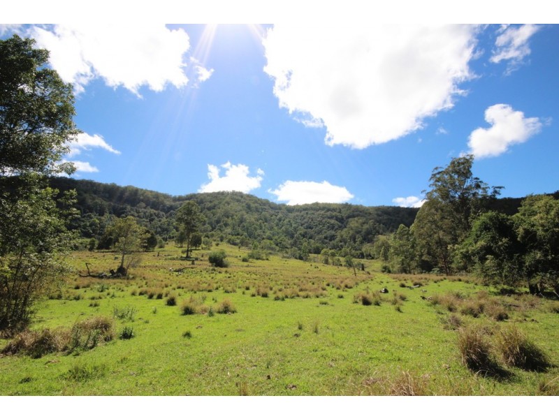 Lot 133 Forbes River Road, Birdwood NSW 2446