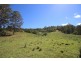 Lot 133 Forbes River Road, Birdwood NSW 2446