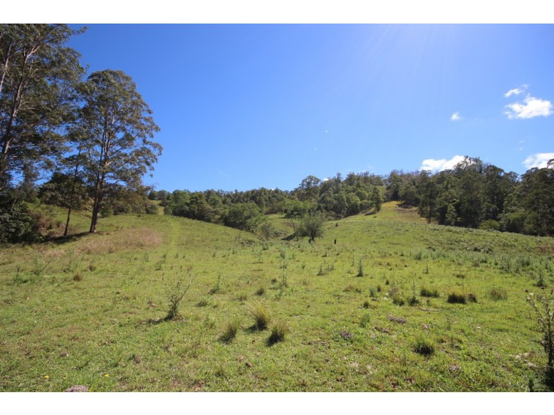 Lot 133 Forbes River Road, Birdwood NSW 2446
