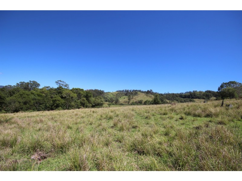 Lot 133 Forbes River Road, Birdwood NSW 2446