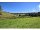 Lot 133 Forbes River Road, Birdwood NSW 2446