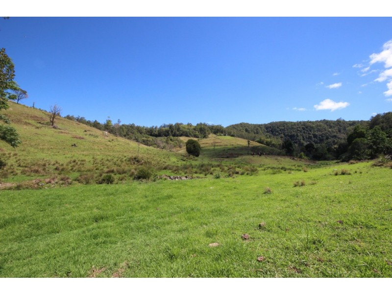 Lot 133 Forbes River Road, Birdwood NSW 2446