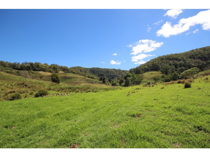 Lot 133 Forbes River Road, Birdwood NSW 2446