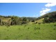 Lot 133 Forbes River Road, Birdwood NSW 2446