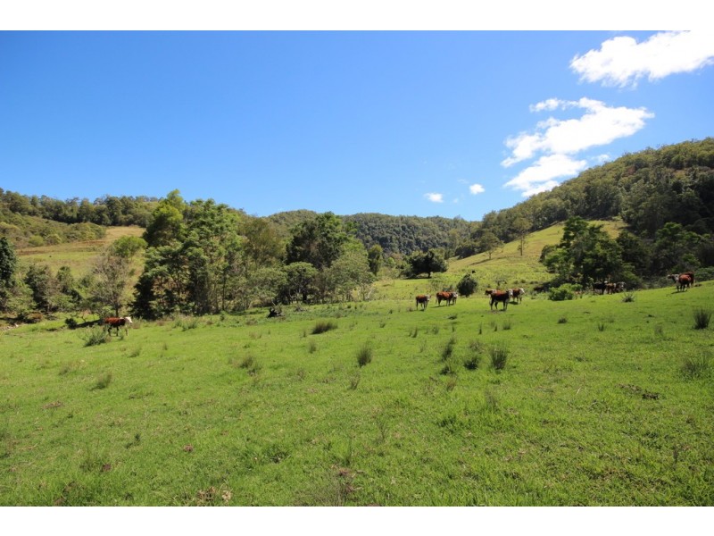 Lot 133 Forbes River Road, Birdwood NSW 2446