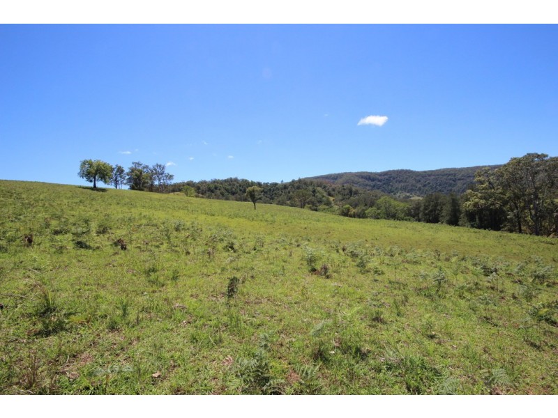 Lot 133 Forbes River Road, Birdwood NSW 2446