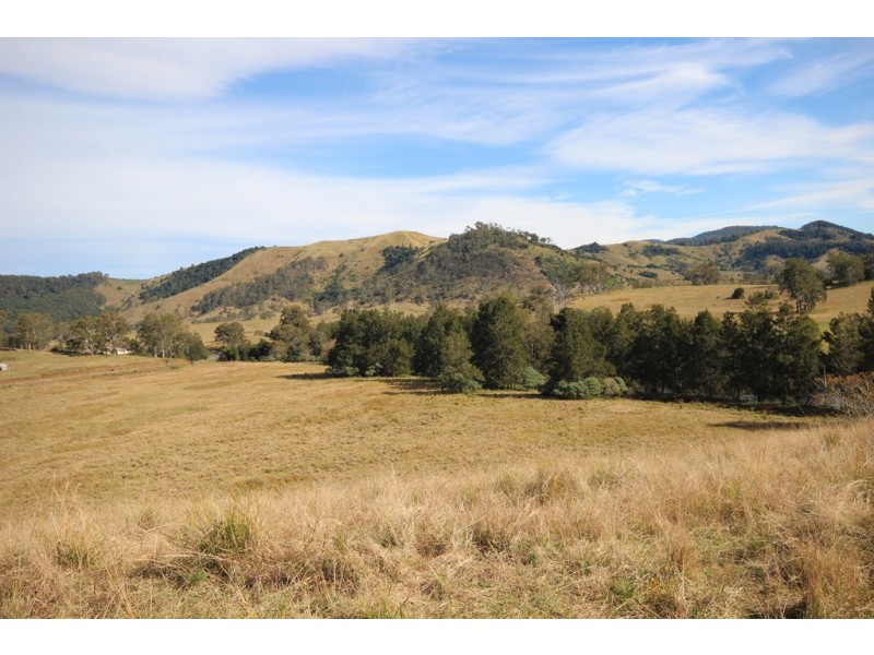 7401 Oxley Highway, Yarras NSW 2446