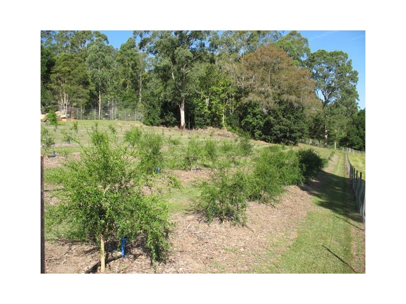 265 Deep Creek Road, Wauchope NSW 2446