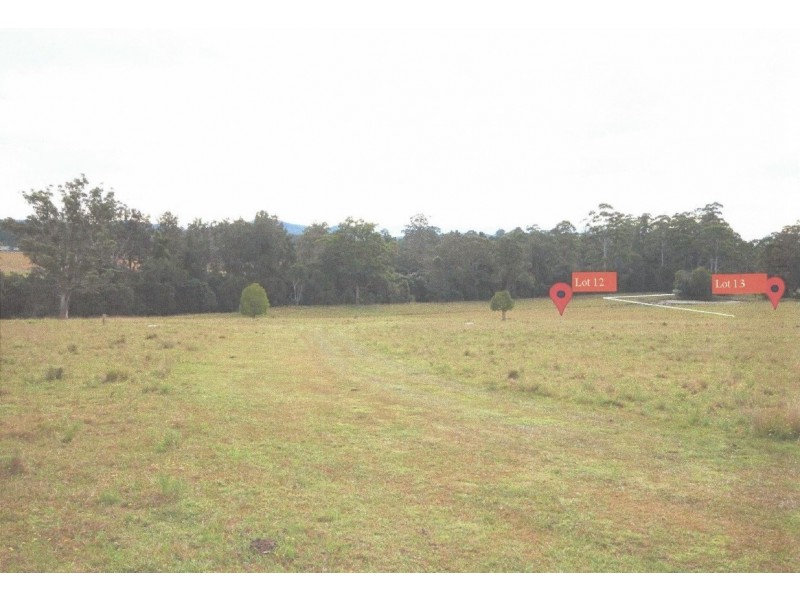 Lot 29 Beechwood Meadows, Beechwood NSW 2446
