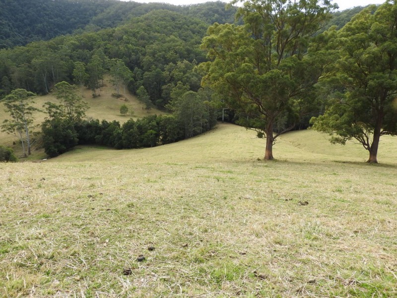 Lot 1 Pipeclay Road, Pipeclay NSW 2446