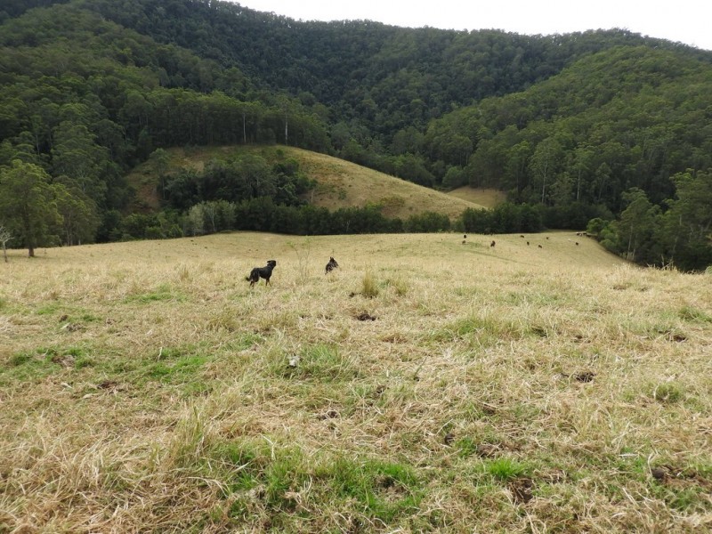 Lot 1 Pipeclay Road, Pipeclay NSW 2446