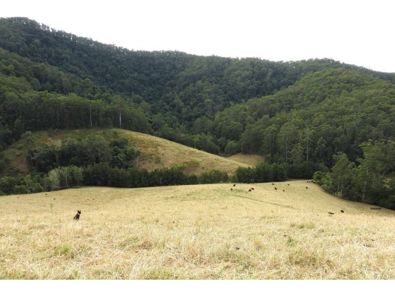 Lot 1 Pipeclay Road, Pipeclay NSW 2446