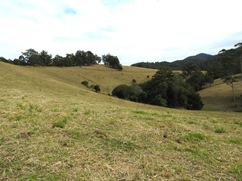 Lot 1 Pipeclay Road, Pipeclay NSW 2446