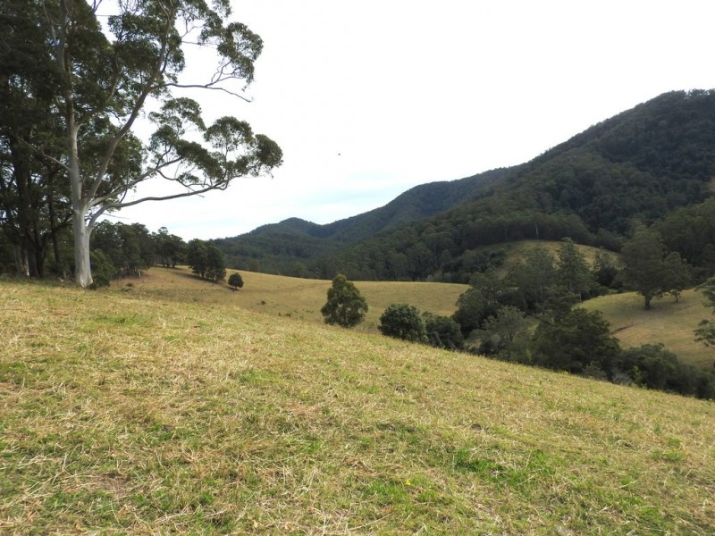 Lot 1 Pipeclay Road, Pipeclay NSW 2446