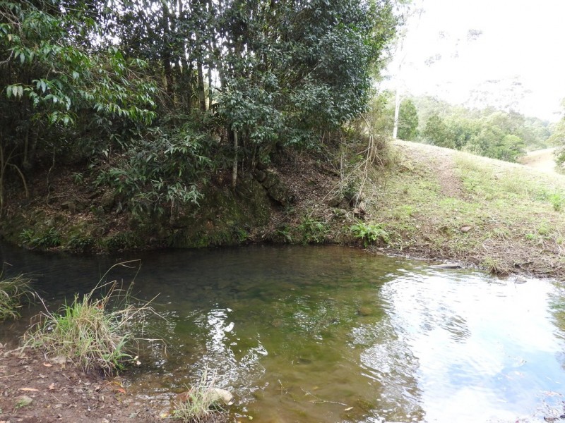 Lot 1 Pipeclay Road, Pipeclay NSW 2446